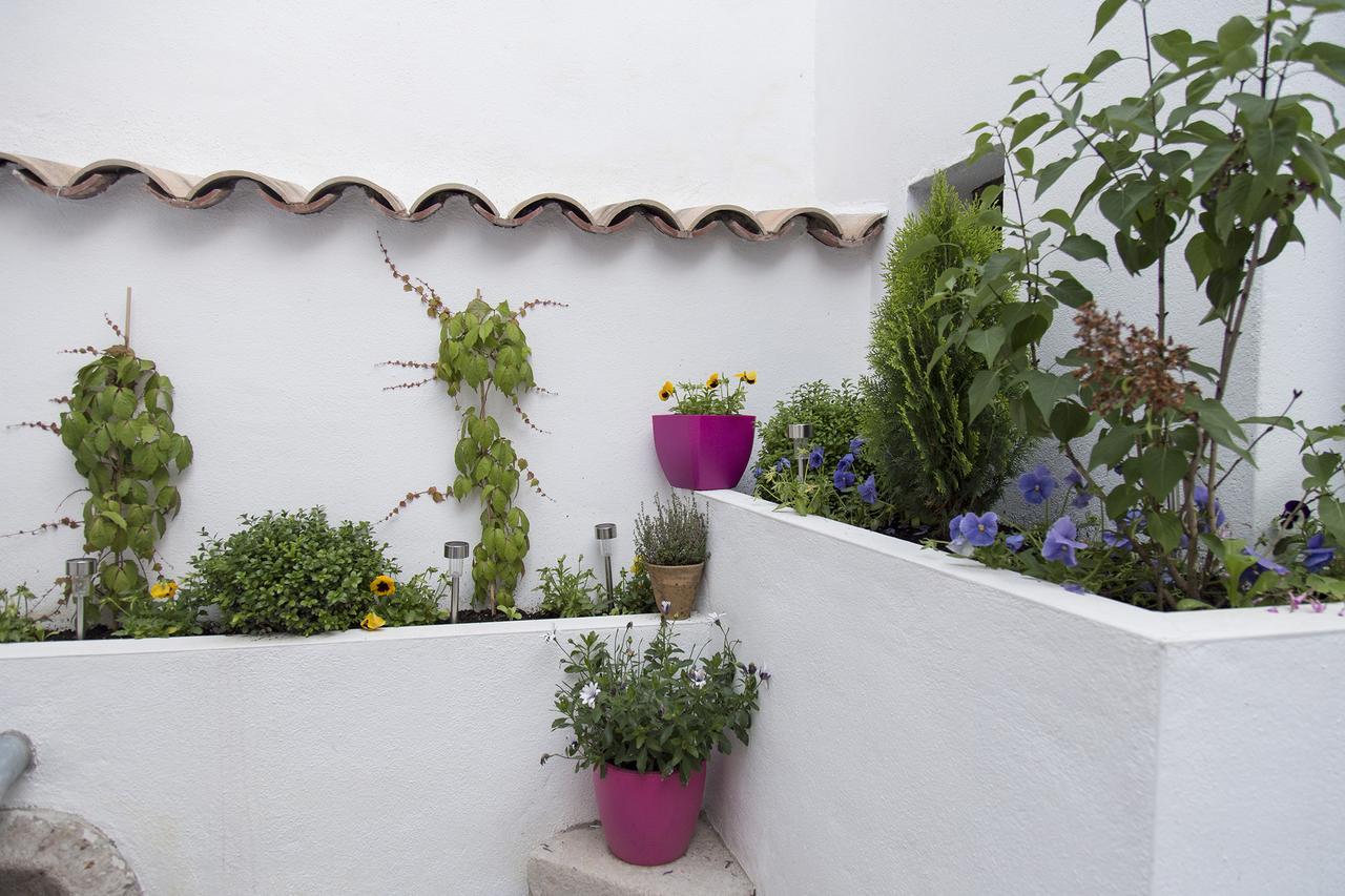 Green River Hostel Cuenca  Eksteriør billede